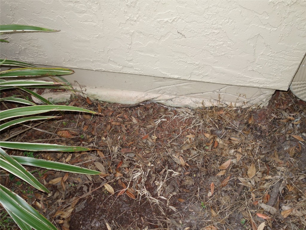  Tampa FL 33624 U8143011 image27