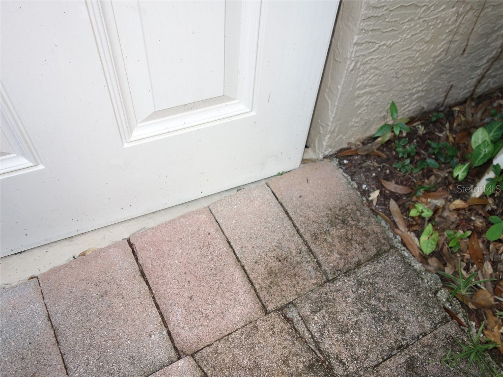  Tampa FL 33624 U8143011 image34