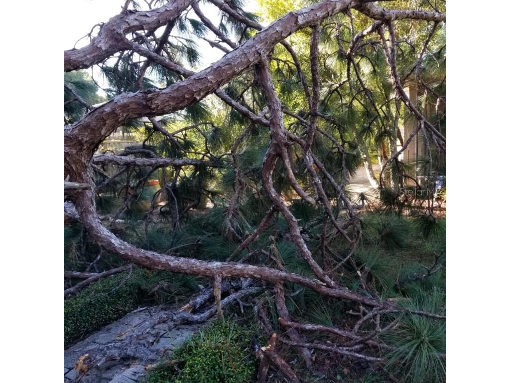  Tampa FL 33624 U8143011 image38