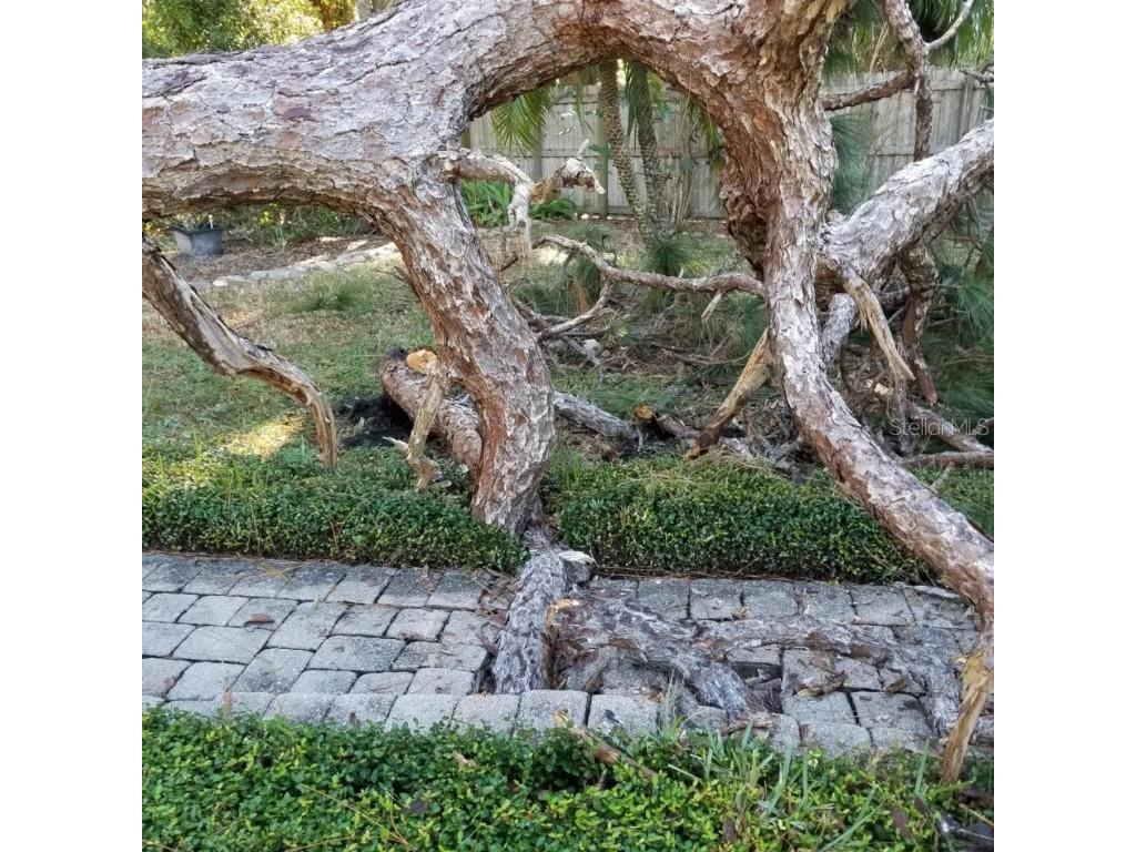  Tampa FL 33624 U8143011 image39