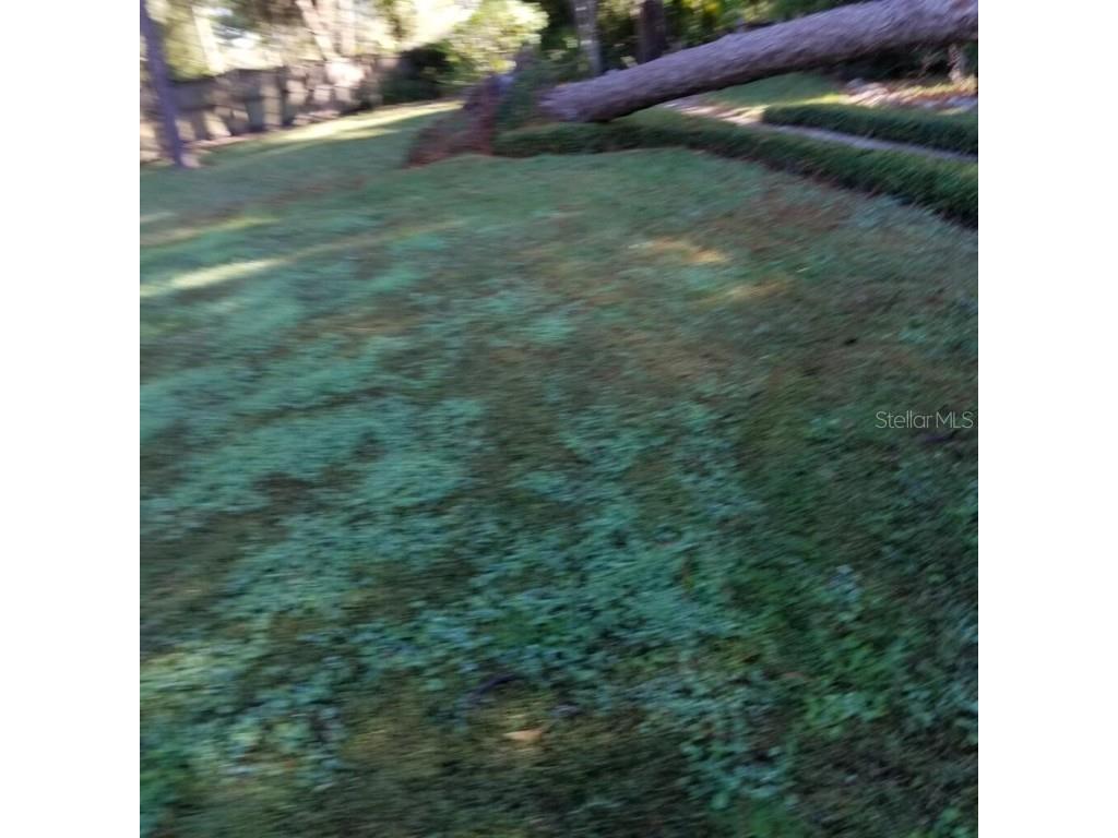  Tampa FL 33624 U8143011 image40