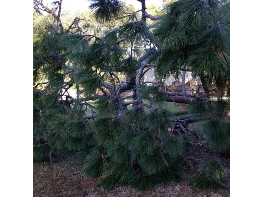  Tampa FL 33624 U8143011 image42