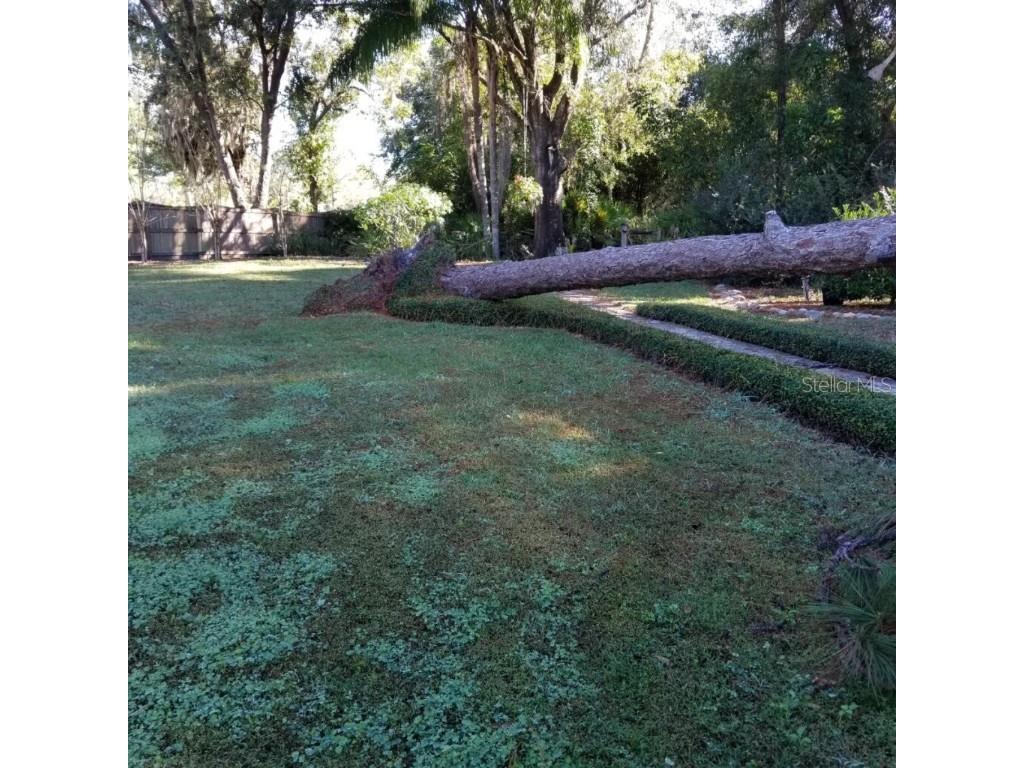  Tampa FL 33624 U8143011 image43