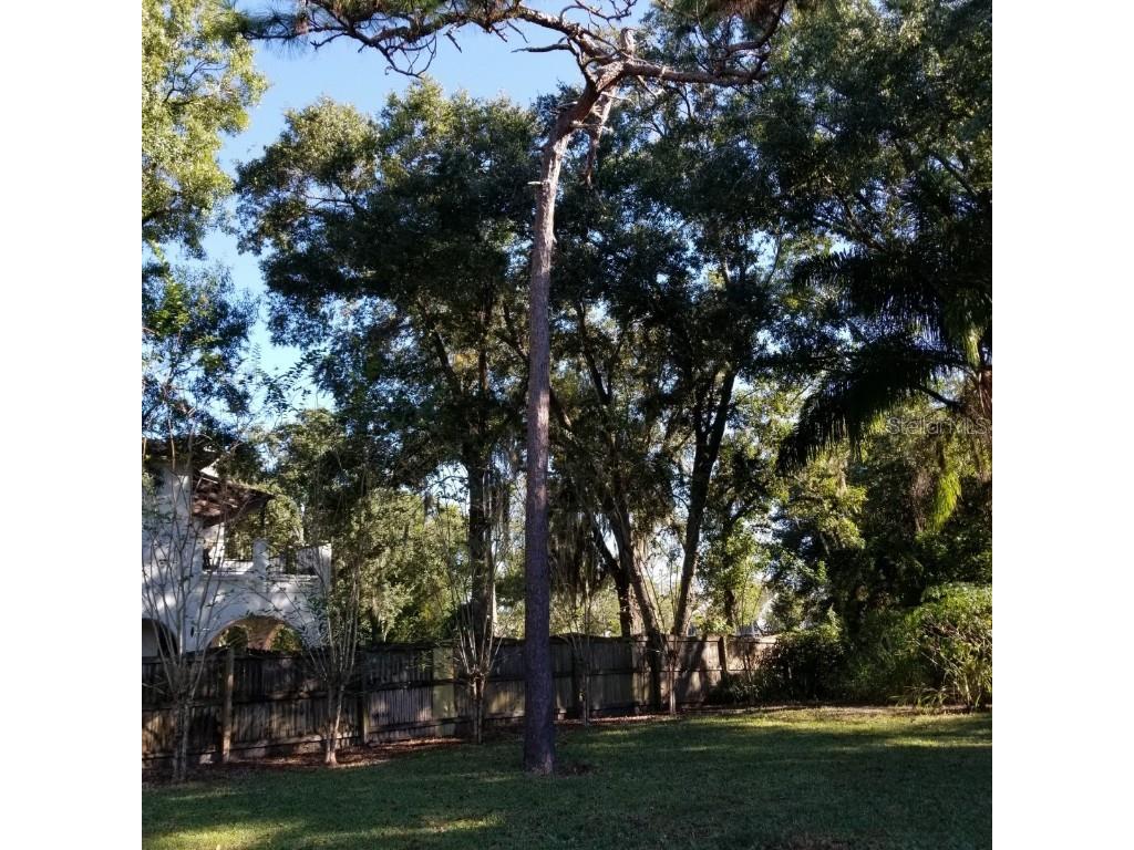  Tampa FL 33624 U8143011 image44