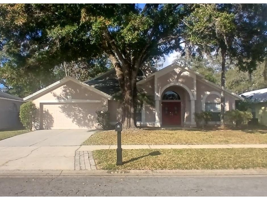  Tampa FL 33625 TB8449869 image1