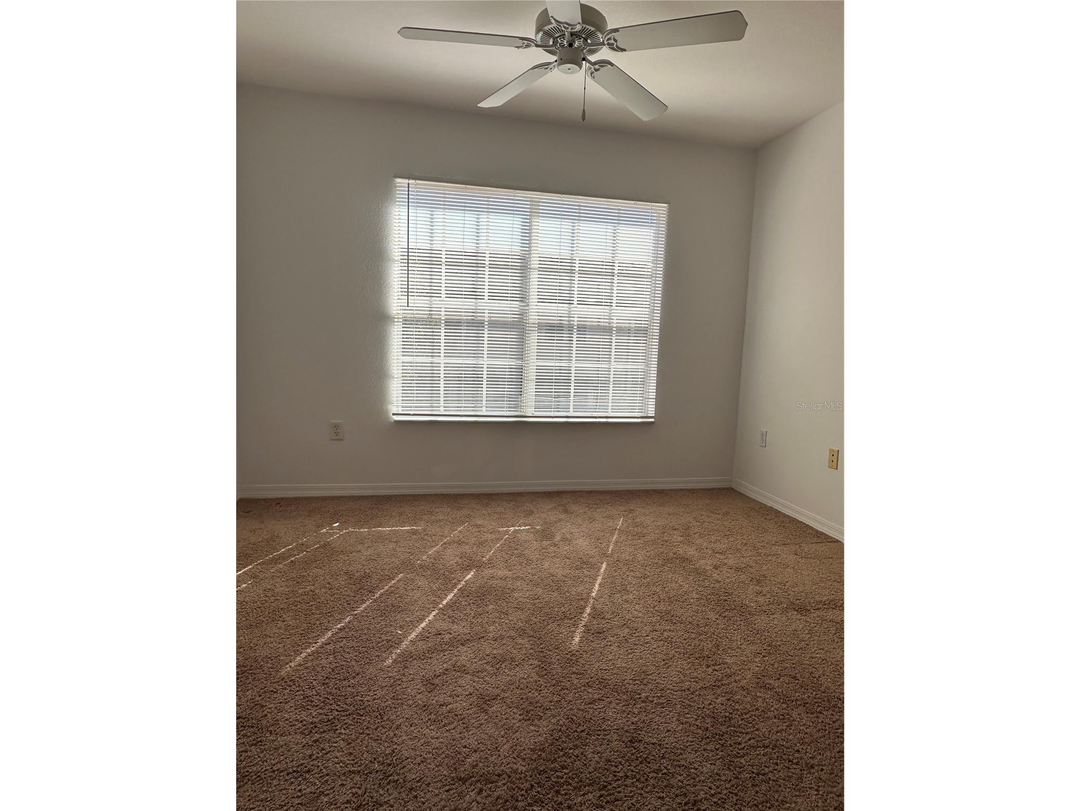  Tampa FL 33626 A4689238 image6