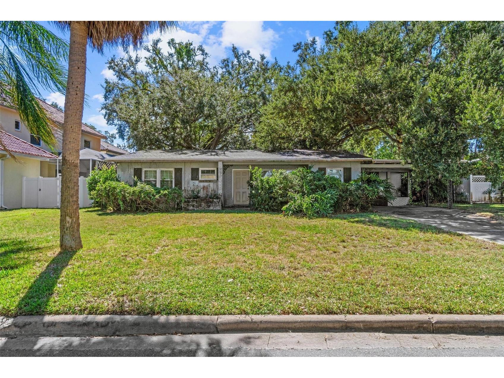  Tampa FL 33629 TB8443403 image1