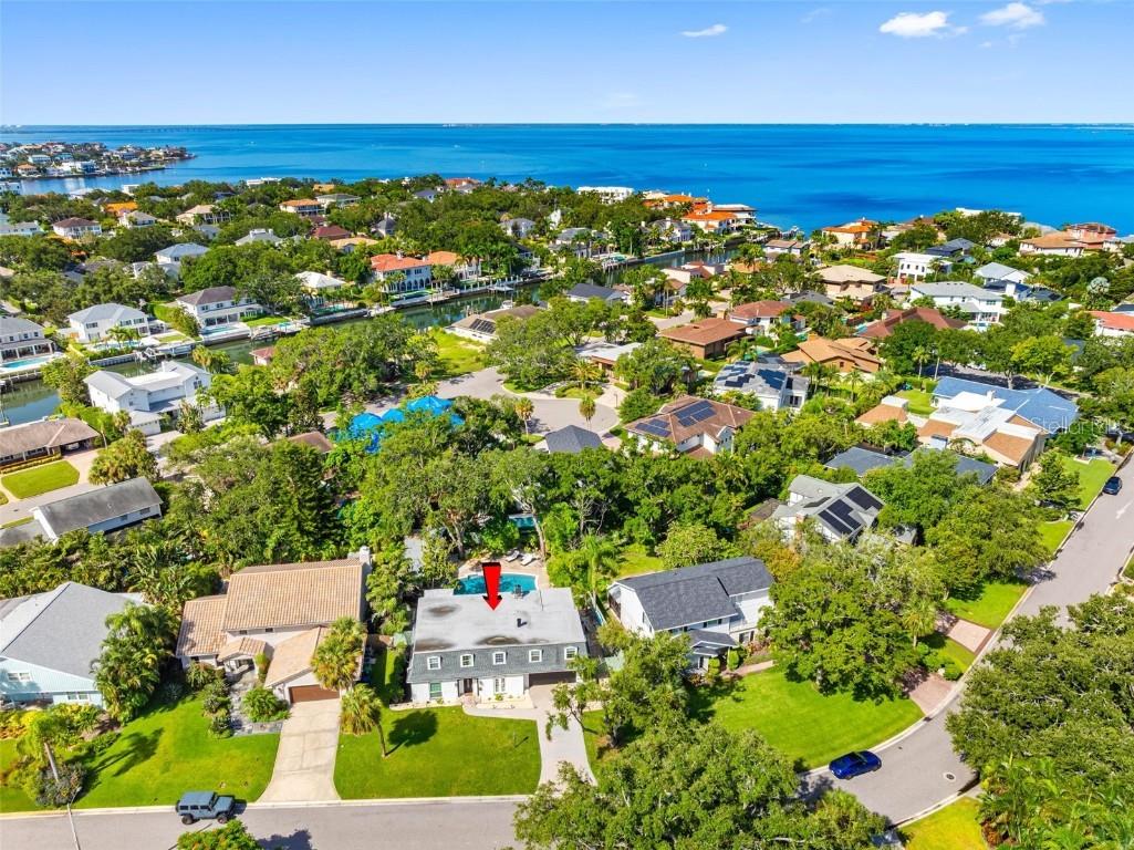  Tampa FL 33629 TB8449921 image59