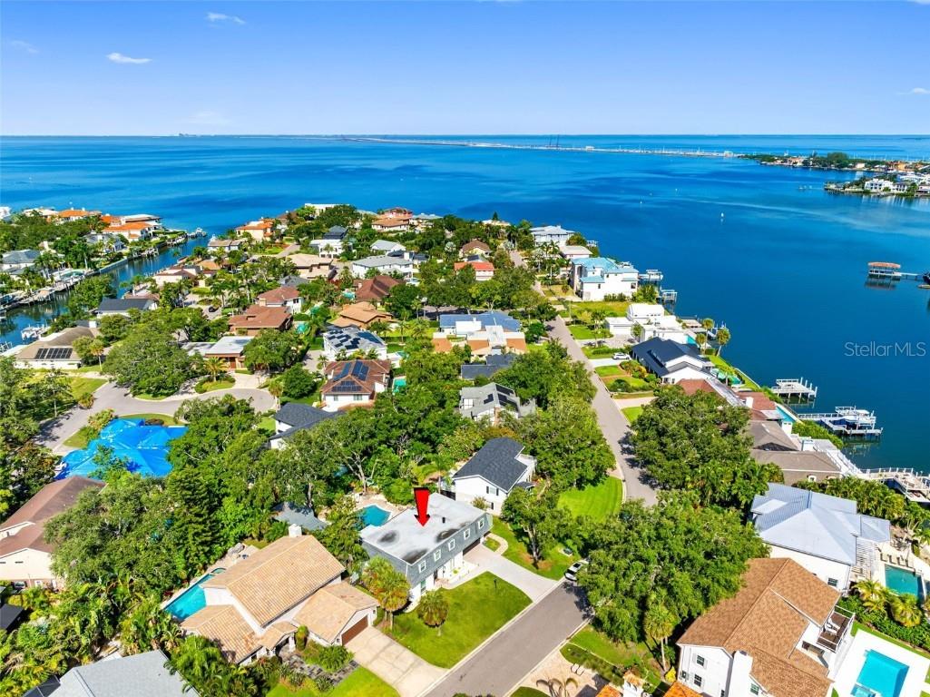  Tampa FL 33629 TB8449921 image60