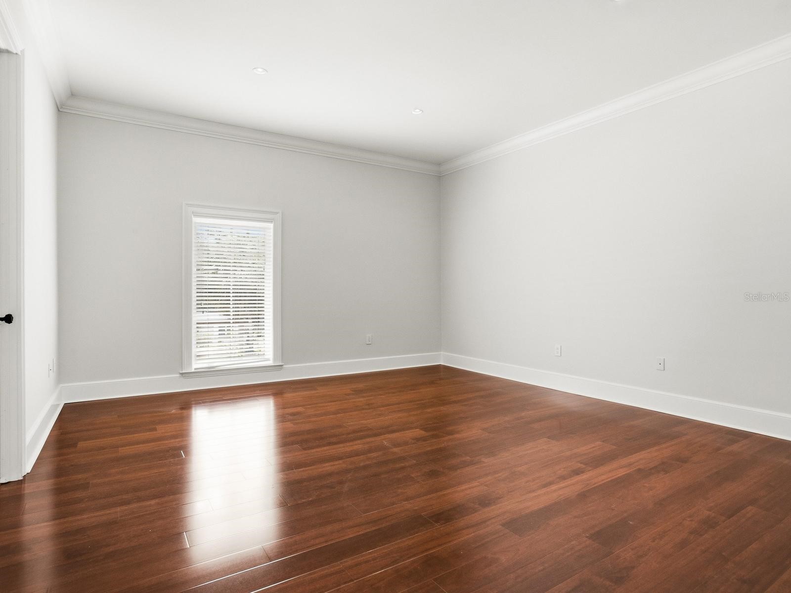 4623 W San Jose Street Tampa FL 33629 TB8495998 image48