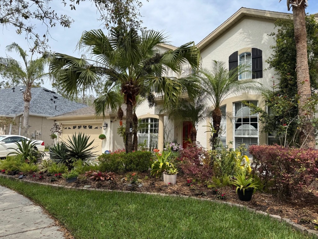  Tampa FL 33647 TB8365764 image2