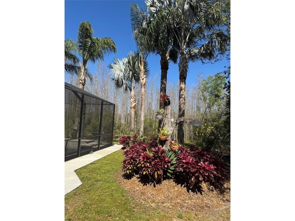  Tampa FL 33647 TB8365764 image33