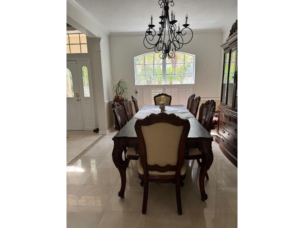  Tampa FL 33647 TB8365764 image5