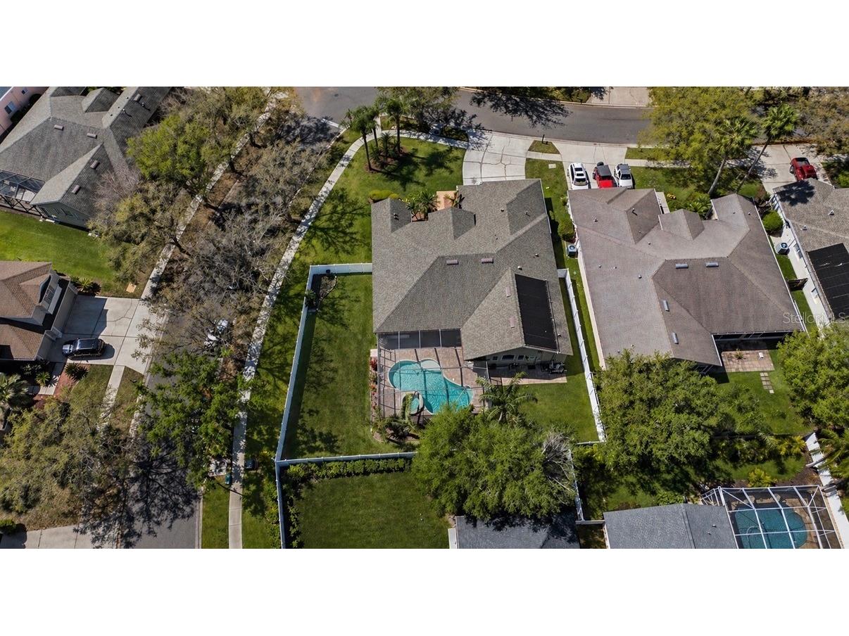 19328 Autumn Woods Avenue Tampa FL 33647 TB8503456 image26