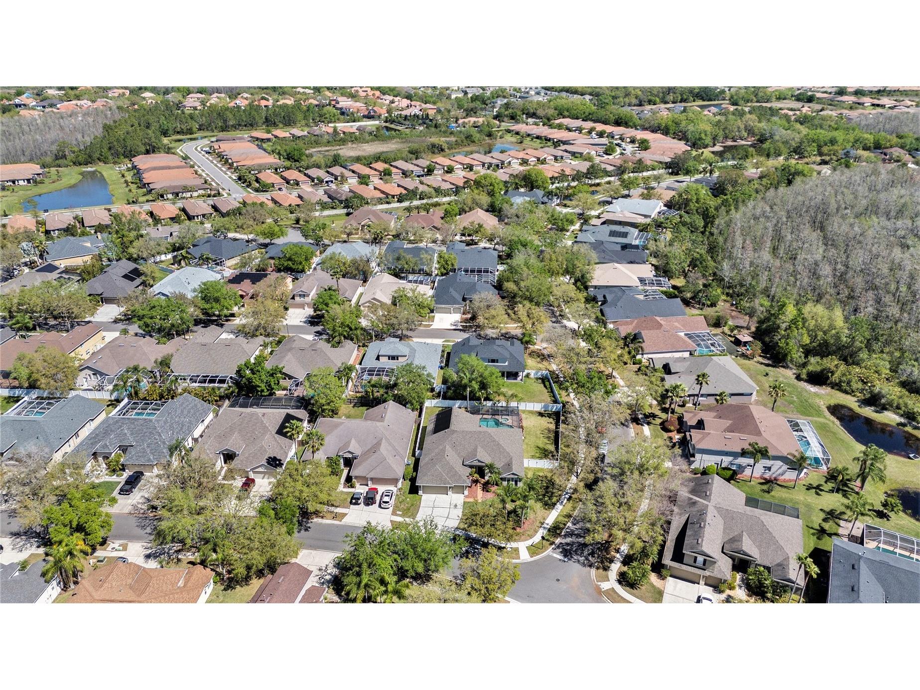 19328 Autumn Woods Avenue Tampa FL 33647 TB8503456 image27