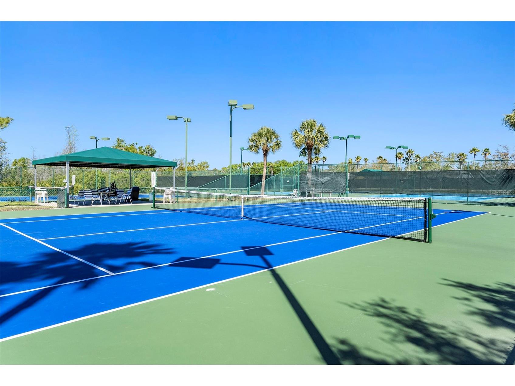 19328 Autumn Woods Avenue Tampa FL 33647 TB8503456 image29
