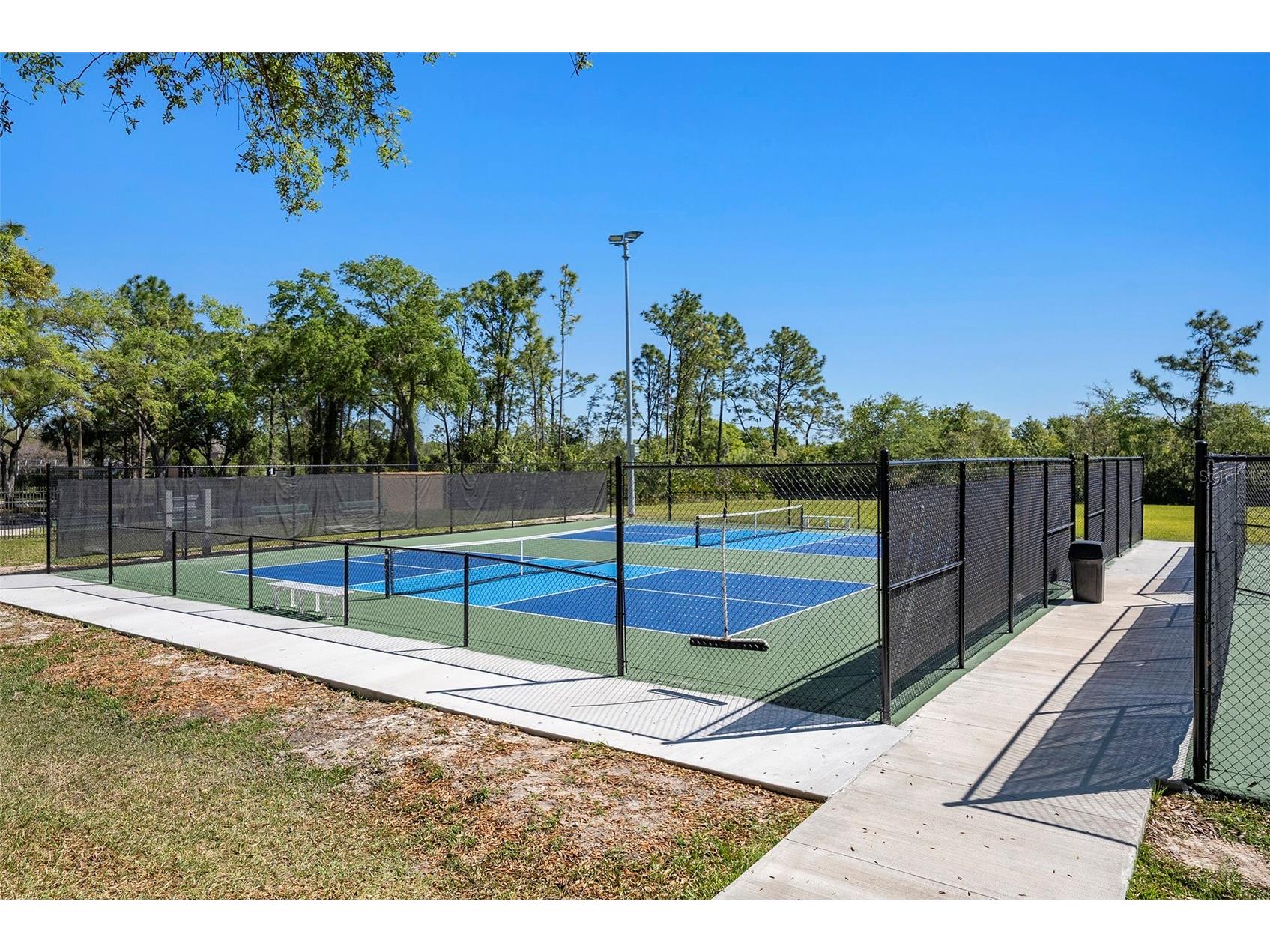 19328 Autumn Woods Avenue Tampa FL 33647 TB8503456 image32