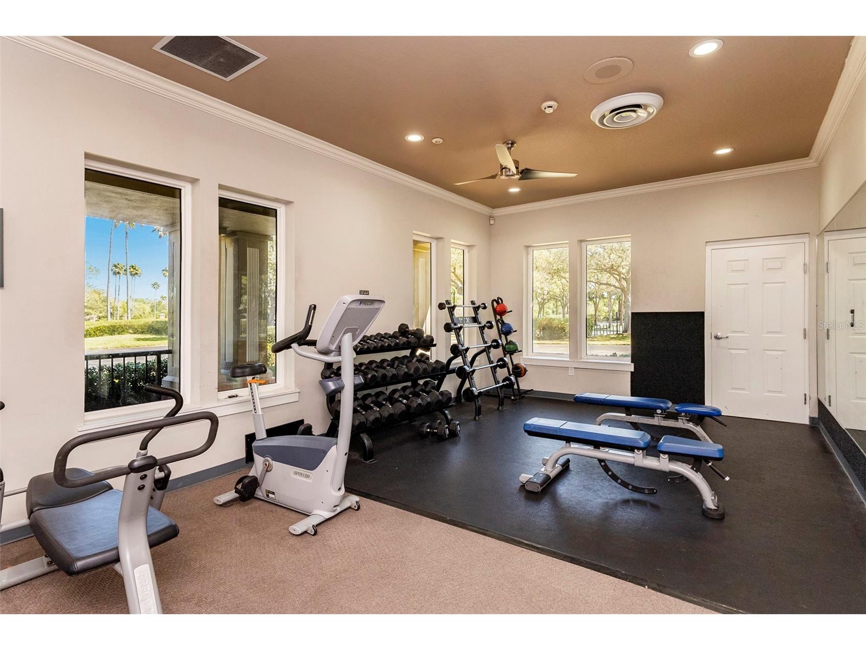 19328 Autumn Woods Avenue Tampa FL 33647 TB8503456 image35