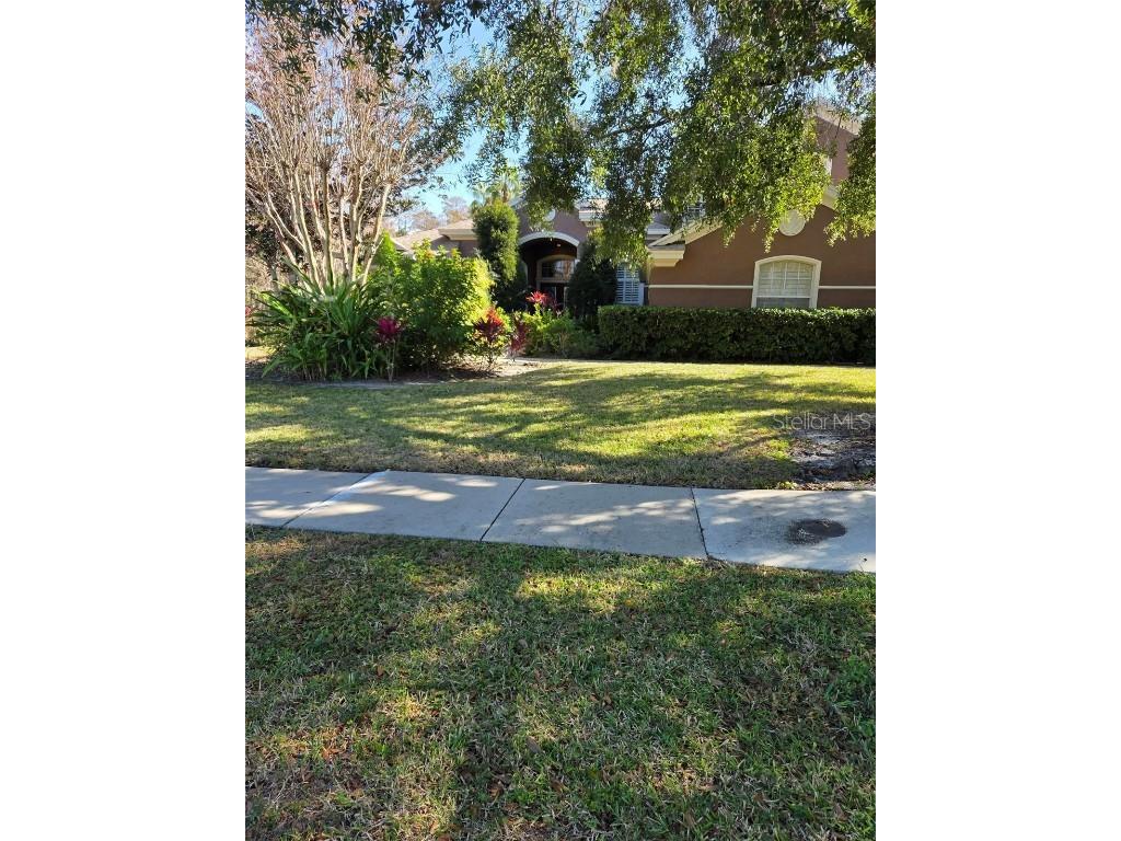  Tarpon Springs FL 34688 TB8459162 image1