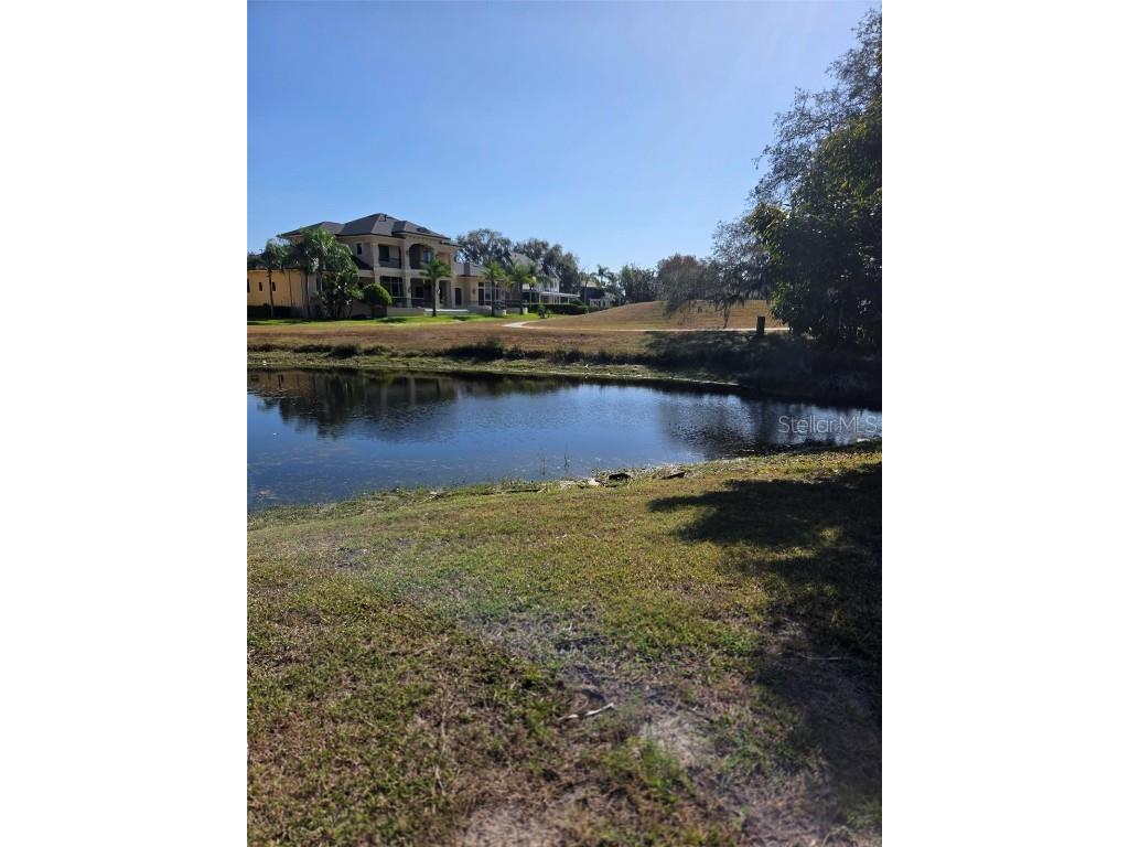  Tarpon Springs FL 34688 TB8459162 image2