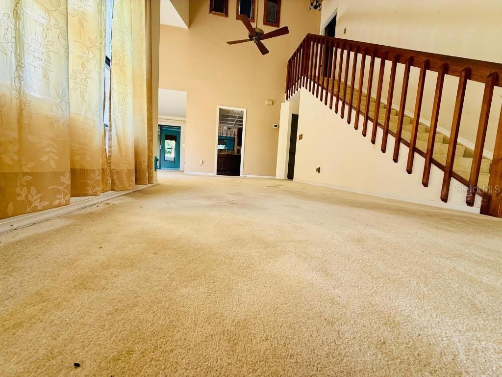  Tarpon Springs FL 34689 TB8432540 image13