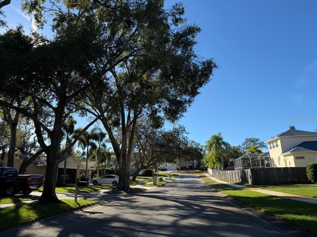  Tarpon Springs FL 34689 TB8432540 image4