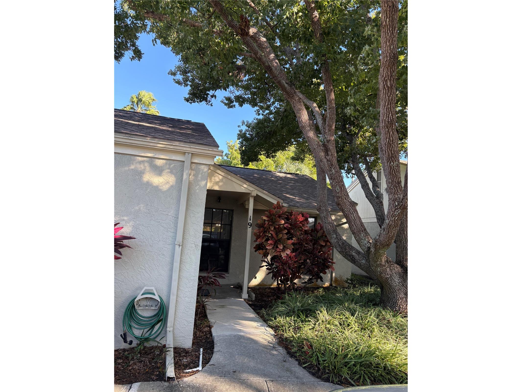  Tarpon Springs FL 34689 TB8465837 image1