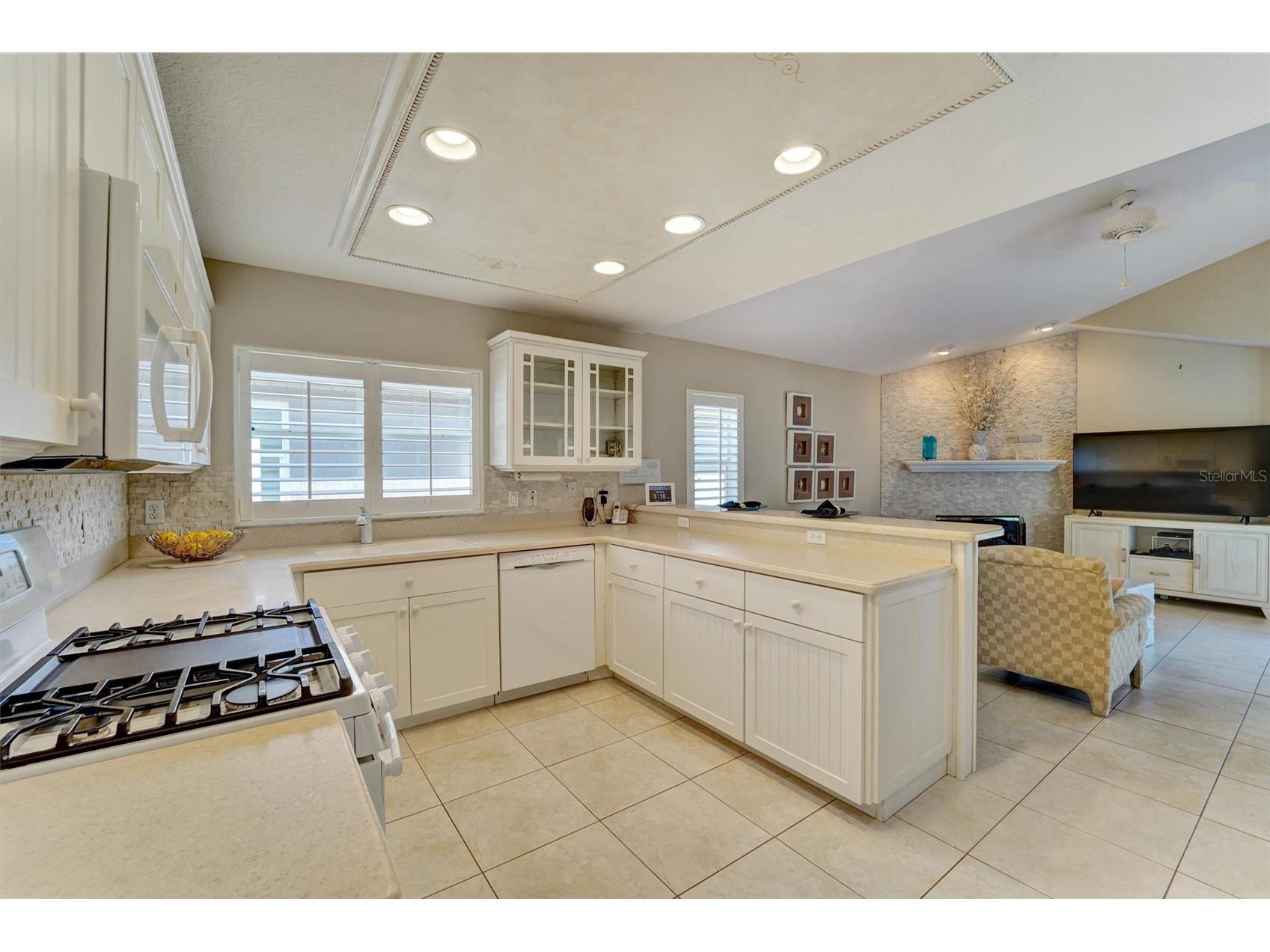  Tarpon Springs FL 34689 W7887490 image21
