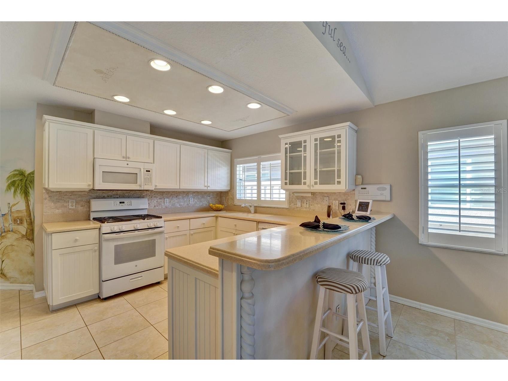  Tarpon Springs FL 34689 W7887490 image24