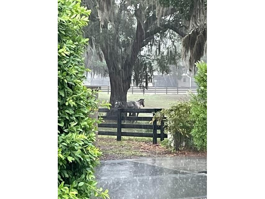 7351 SE 169th Cote Loop The Villages FL 32162 G5111319 image29