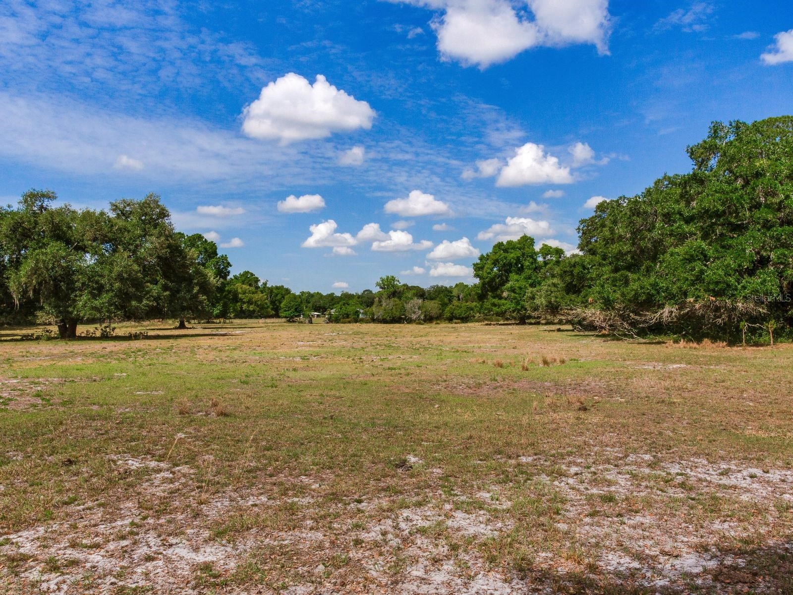  Thonotosassa FL 33592 TB8505252 image12
