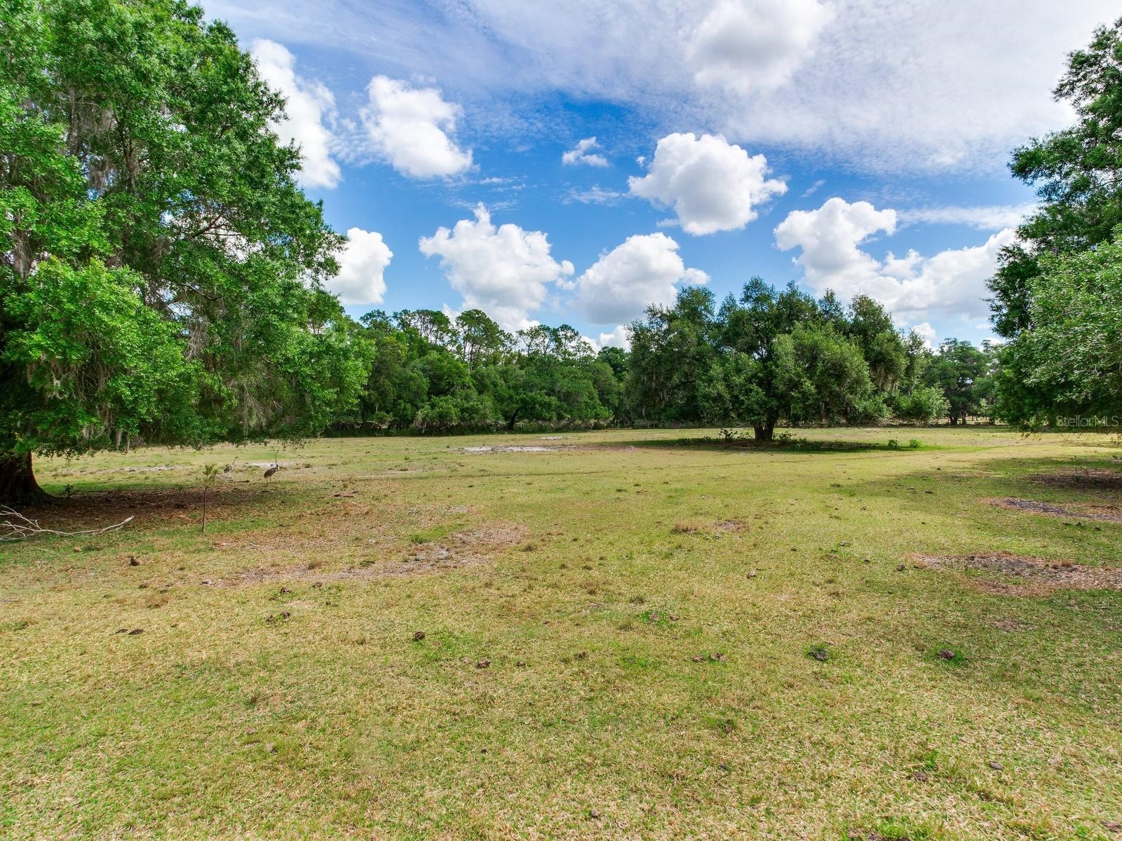  Thonotosassa FL 33592 TB8505252 image16