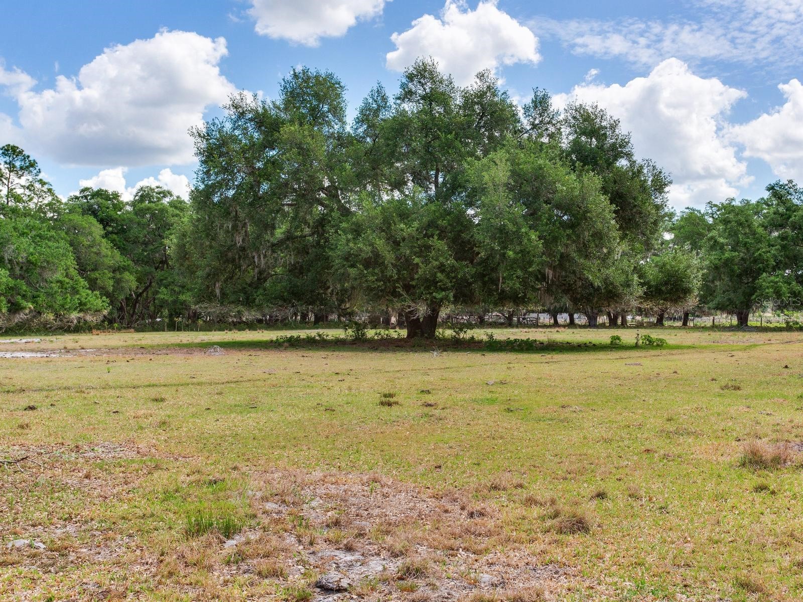  Thonotosassa FL 33592 TB8505252 image2
