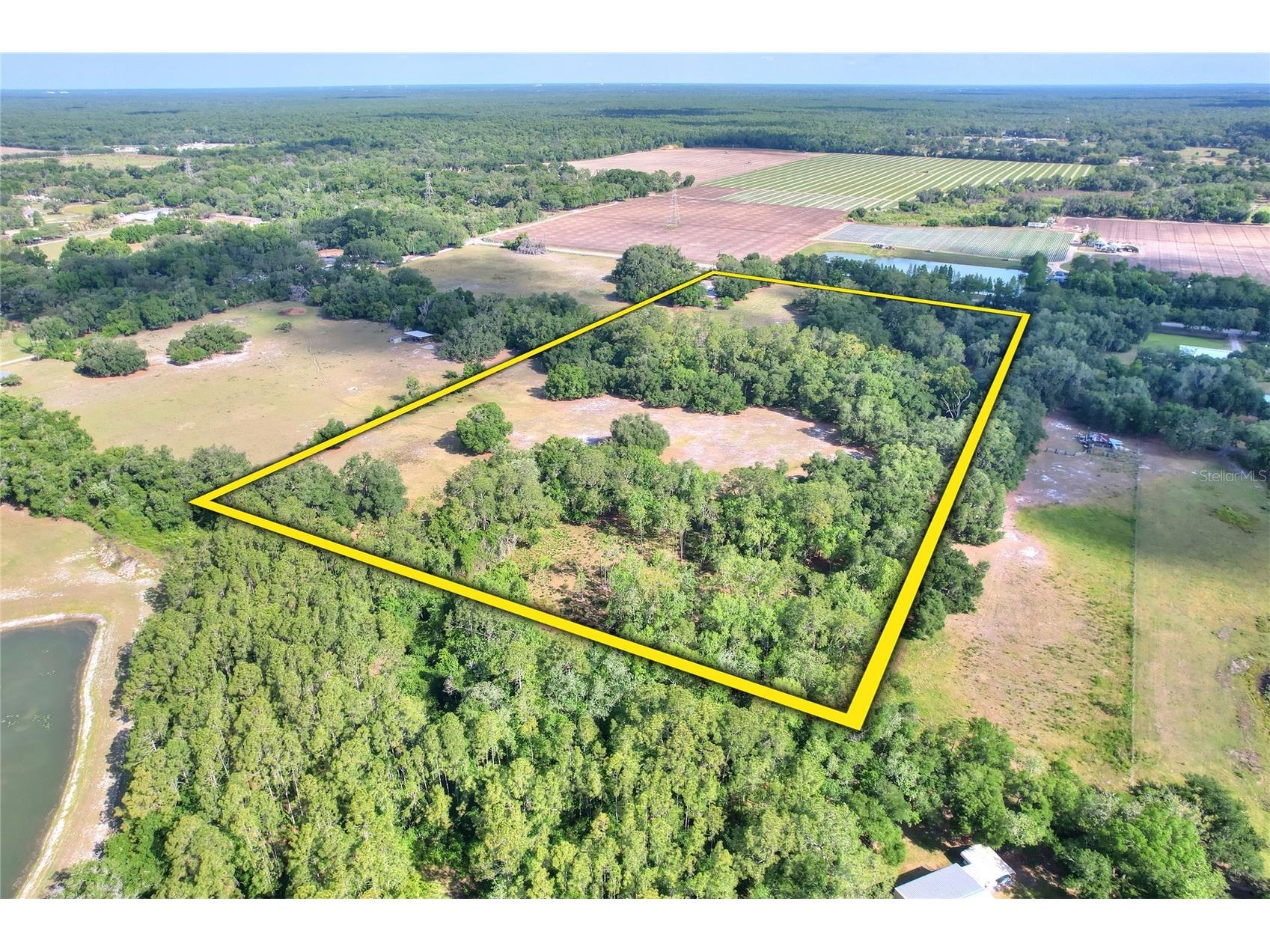  Thonotosassa FL 33592 TB8505252 image21