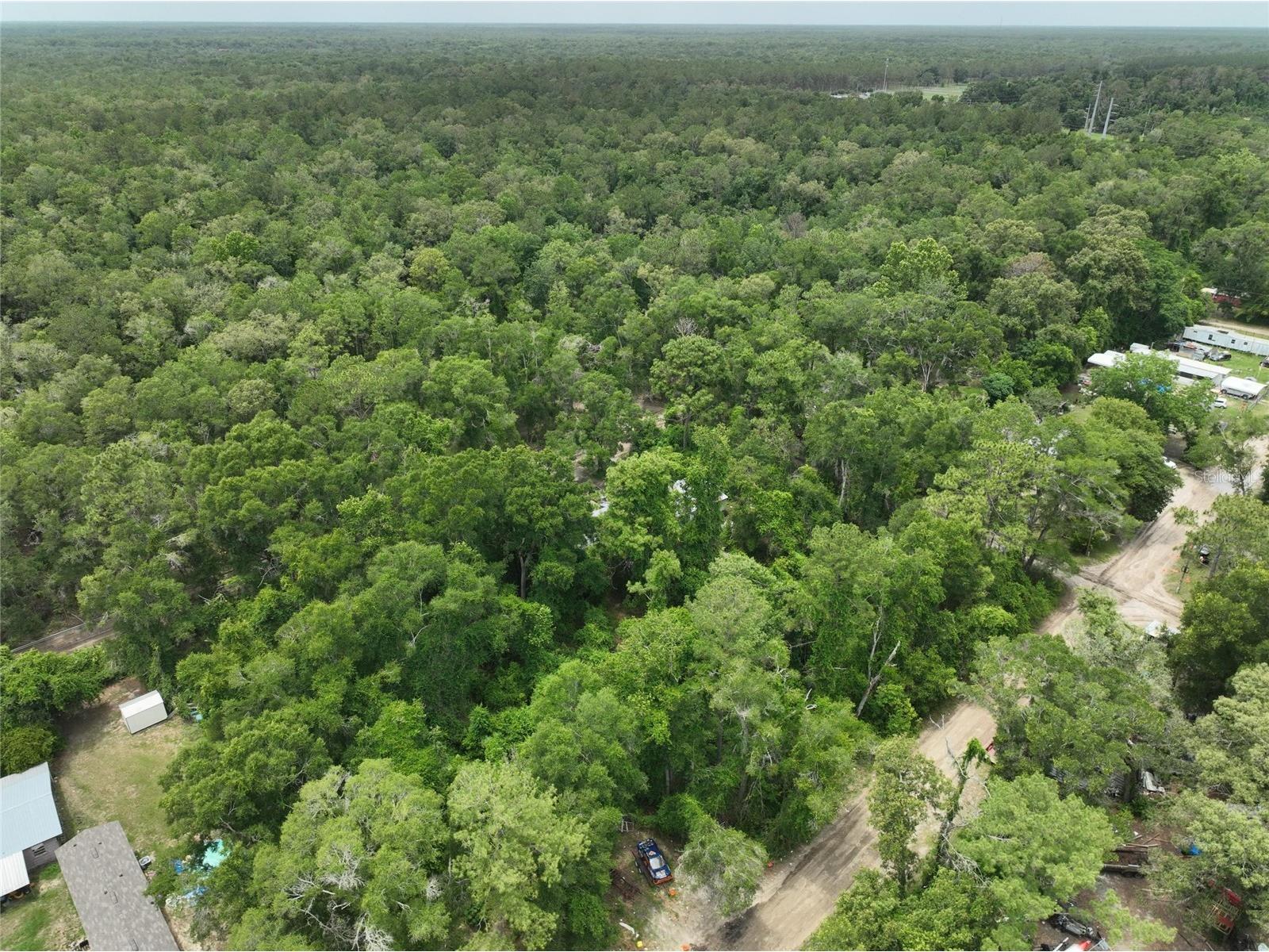  Trenton FL 32693 O6411700 image10