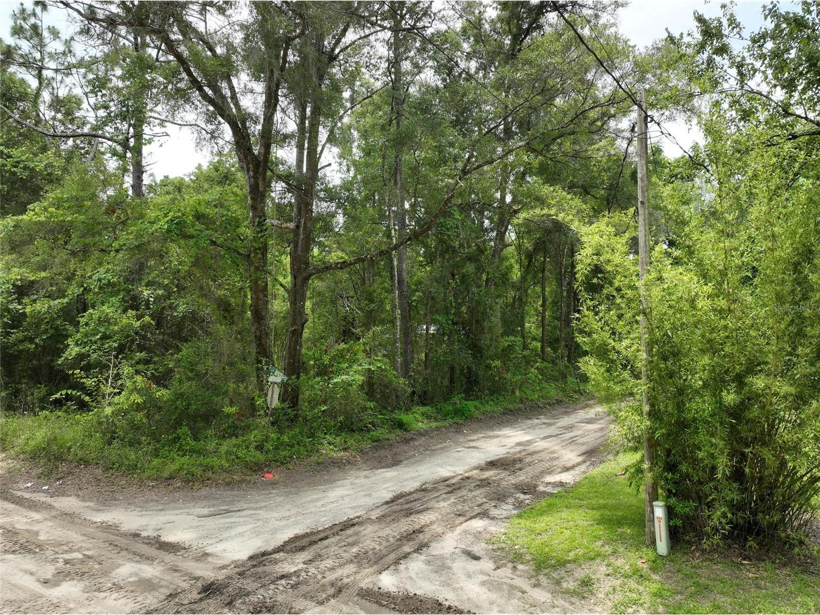  Trenton FL 32693 O6411700 image16