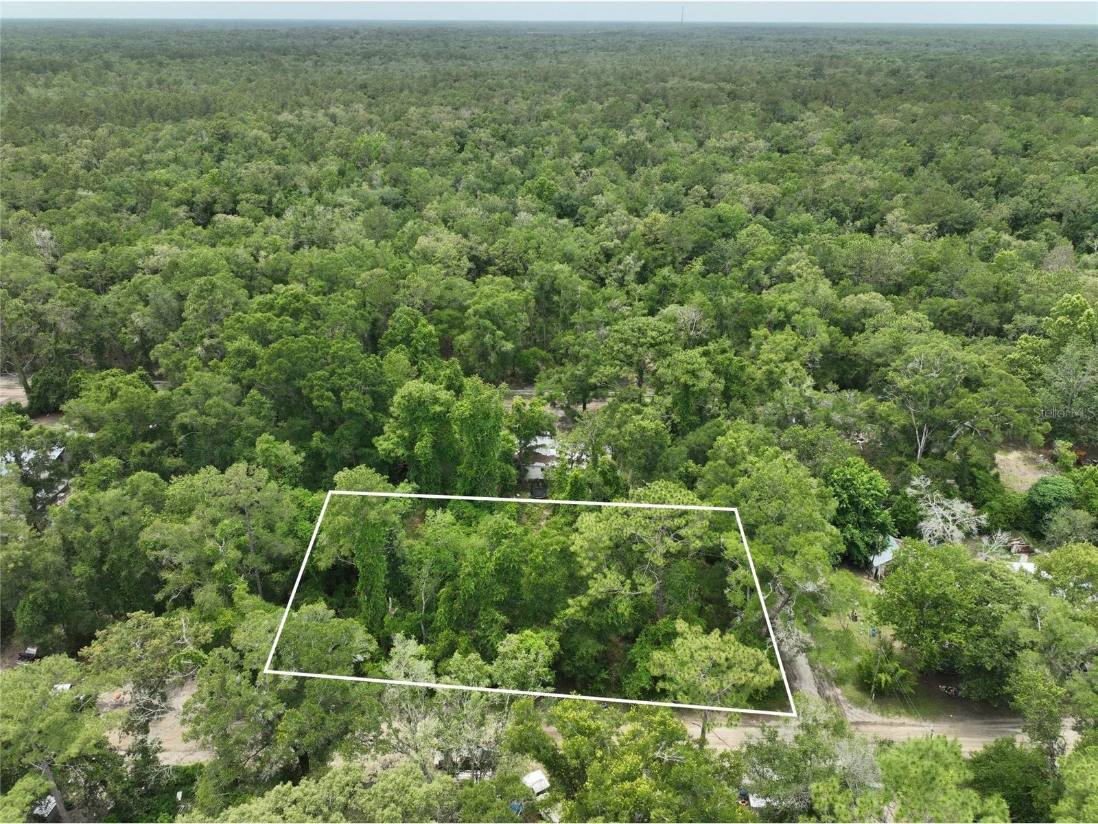  Trenton FL 32693 O6411700 image2