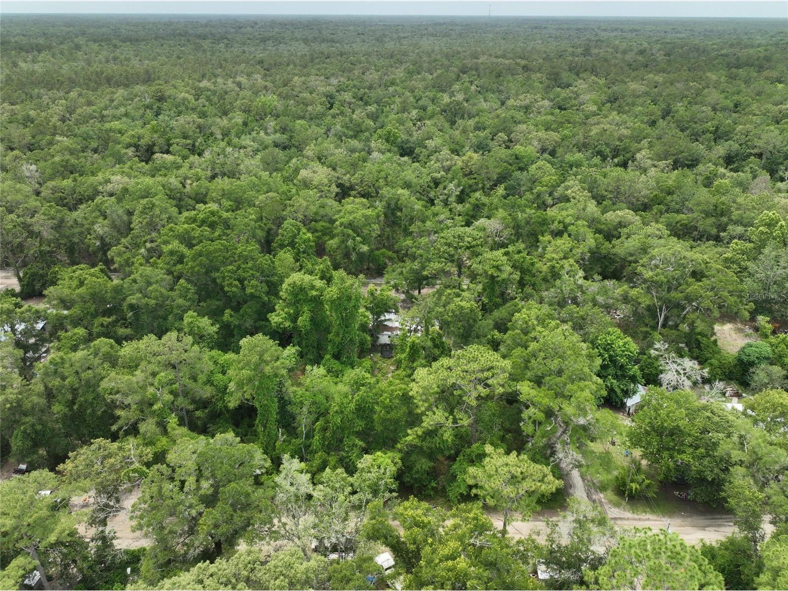 Trenton FL 32693 O6411700 image3