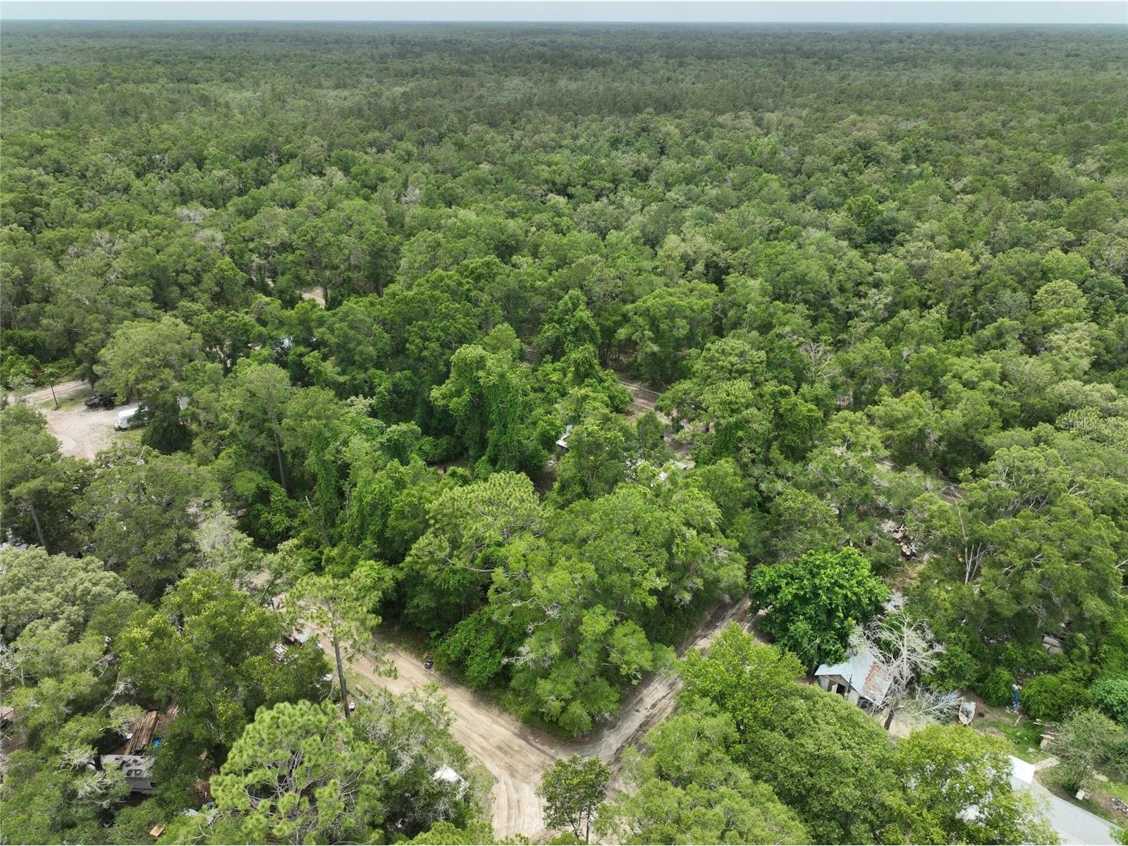  Trenton FL 32693 O6411700 image4