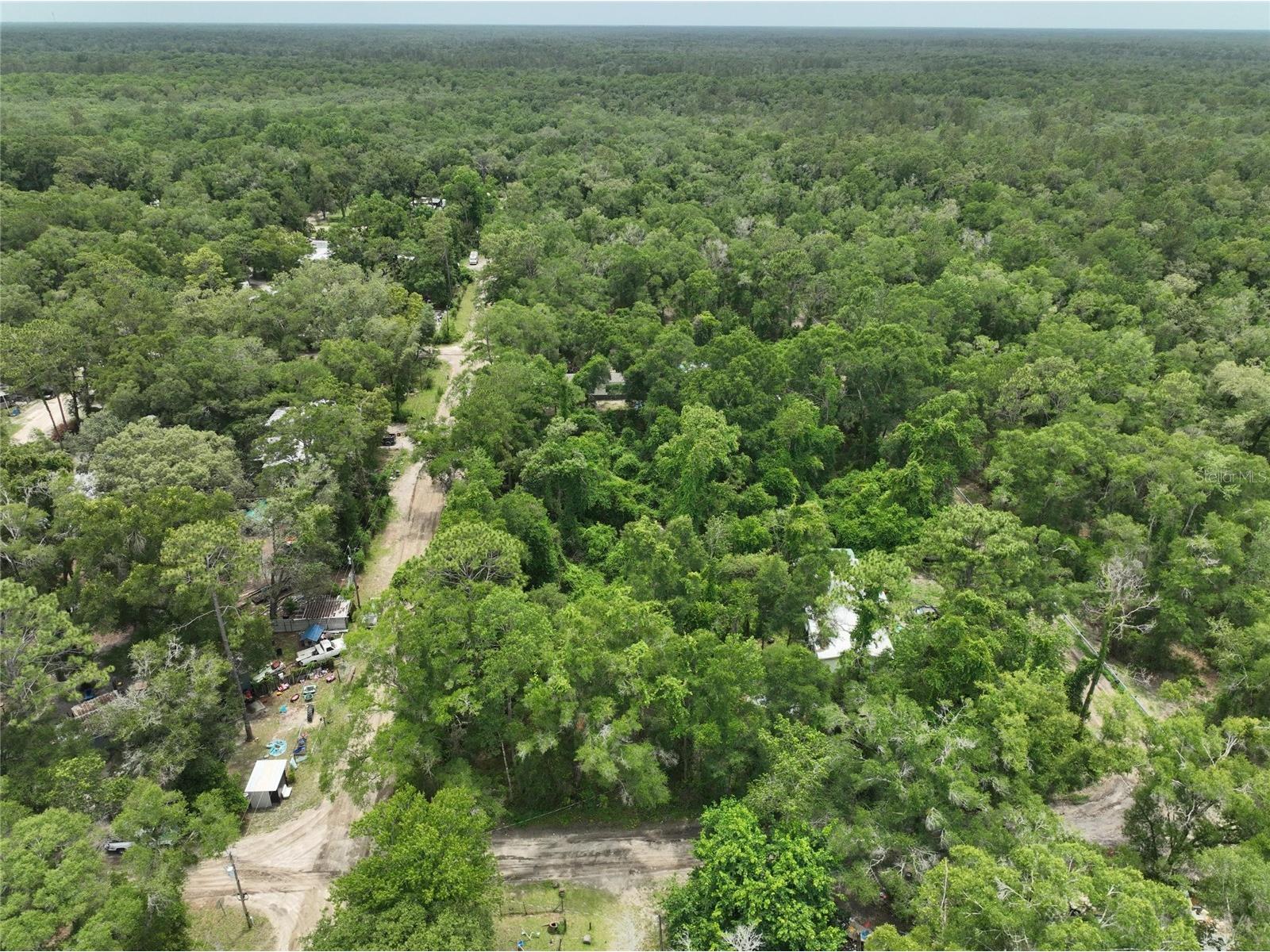  Trenton FL 32693 O6411700 image5