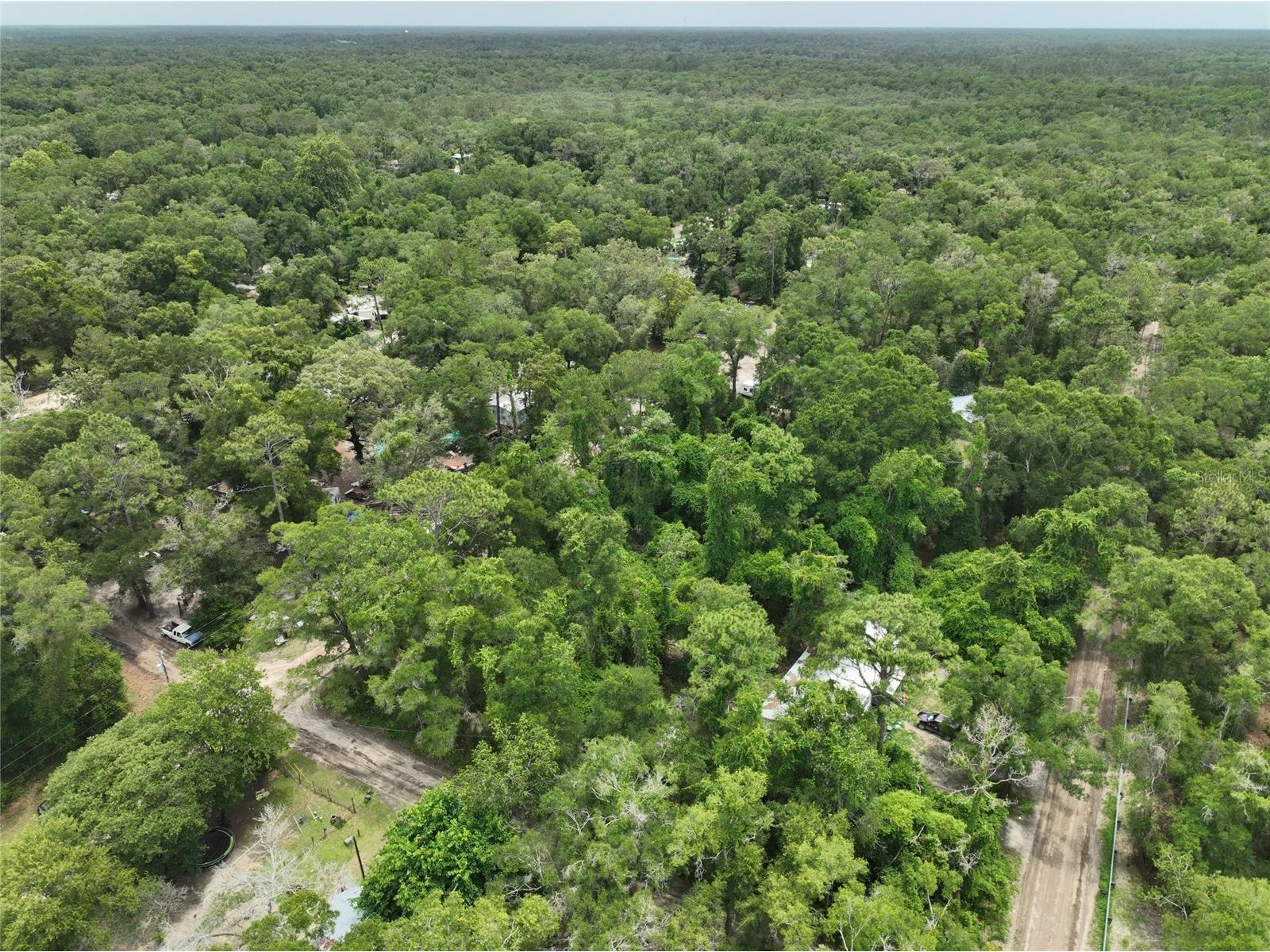  Trenton FL 32693 O6411700 image6