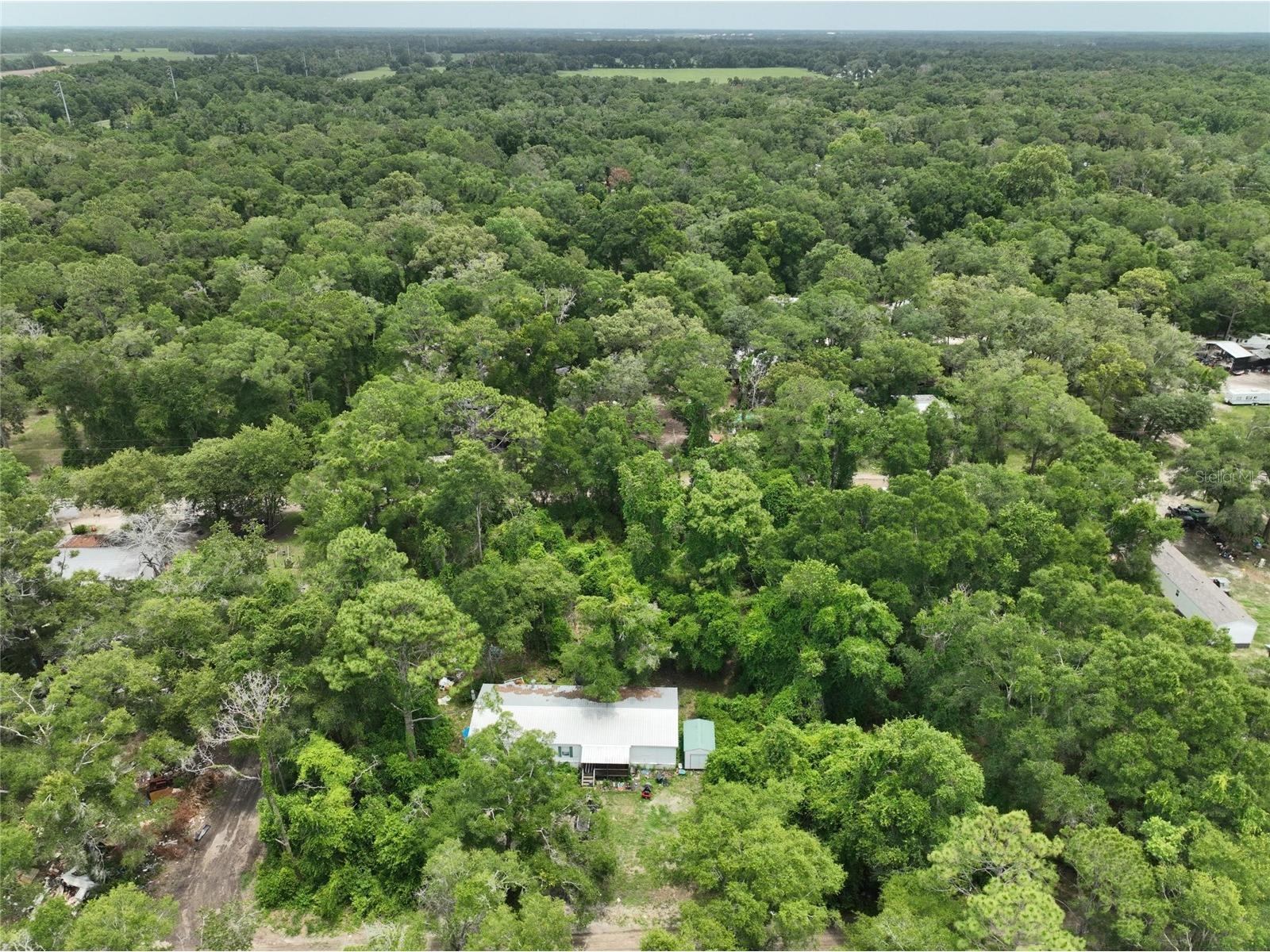  Trenton FL 32693 O6411700 image7