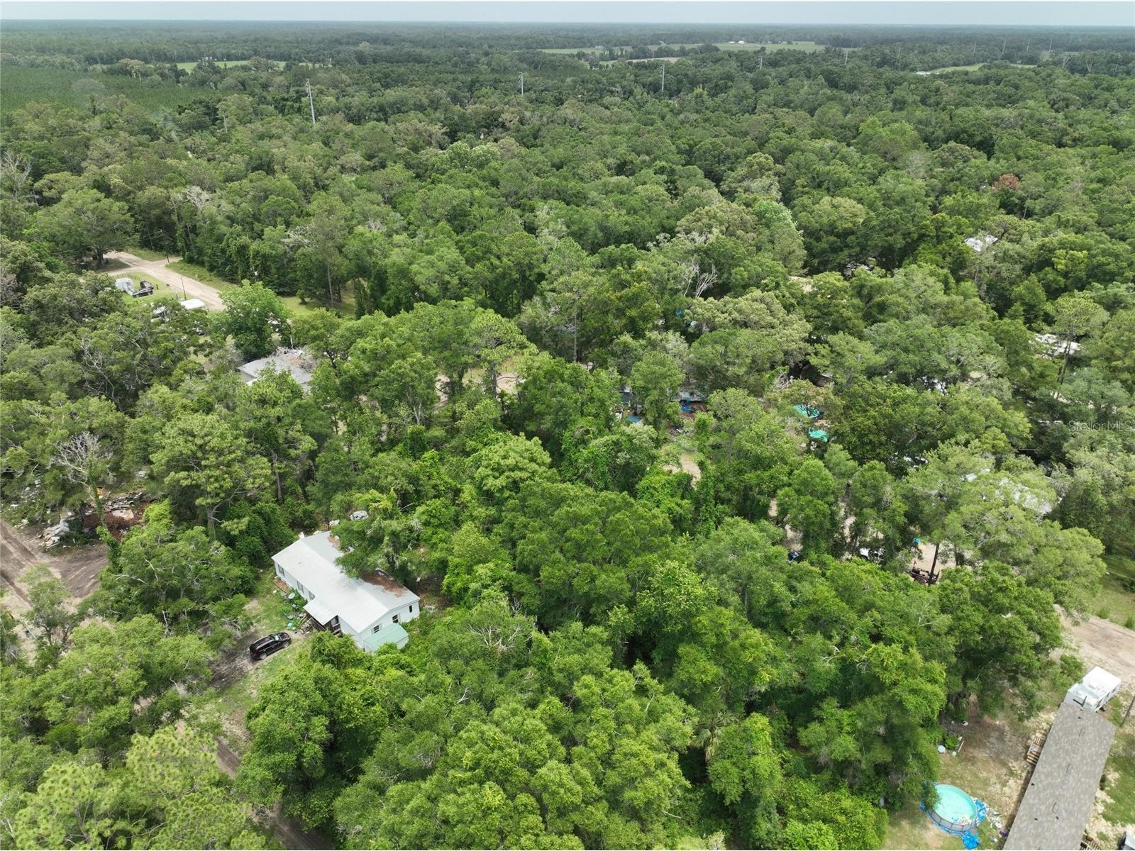  Trenton FL 32693 O6411700 image8
