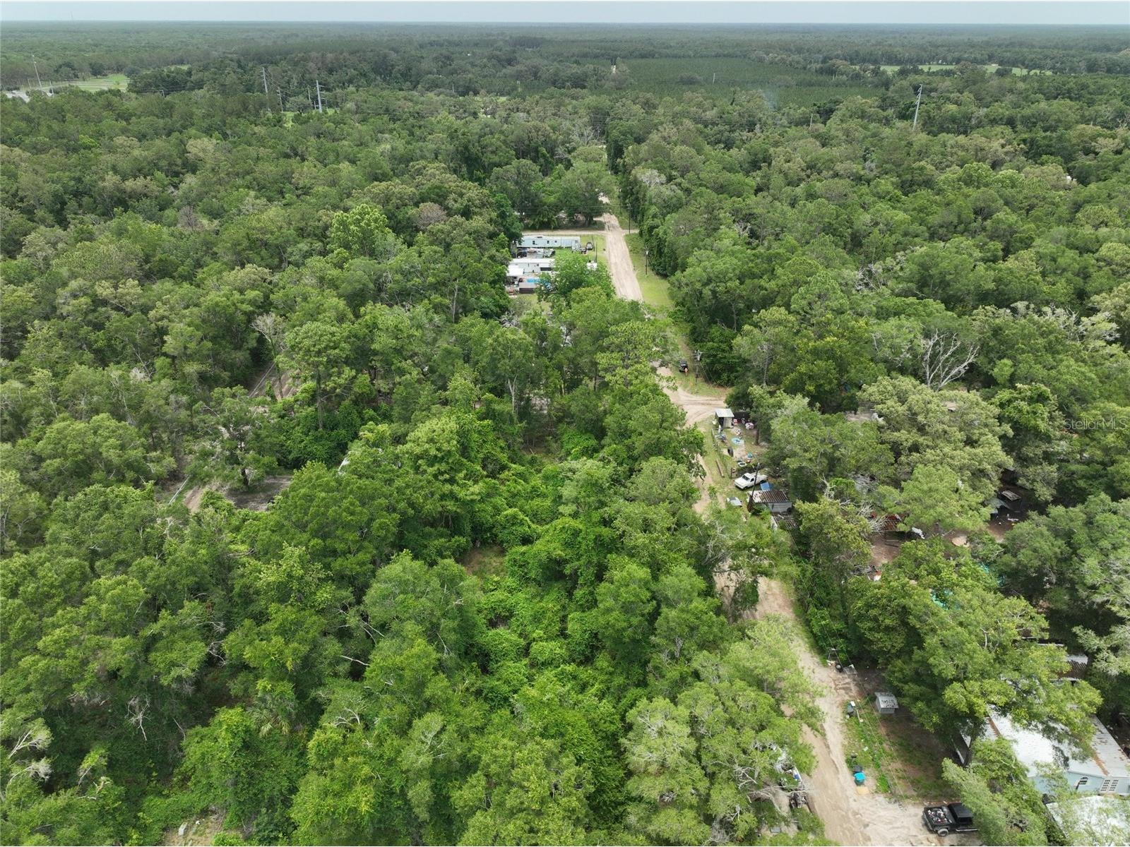  Trenton FL 32693 O6411700 image9
