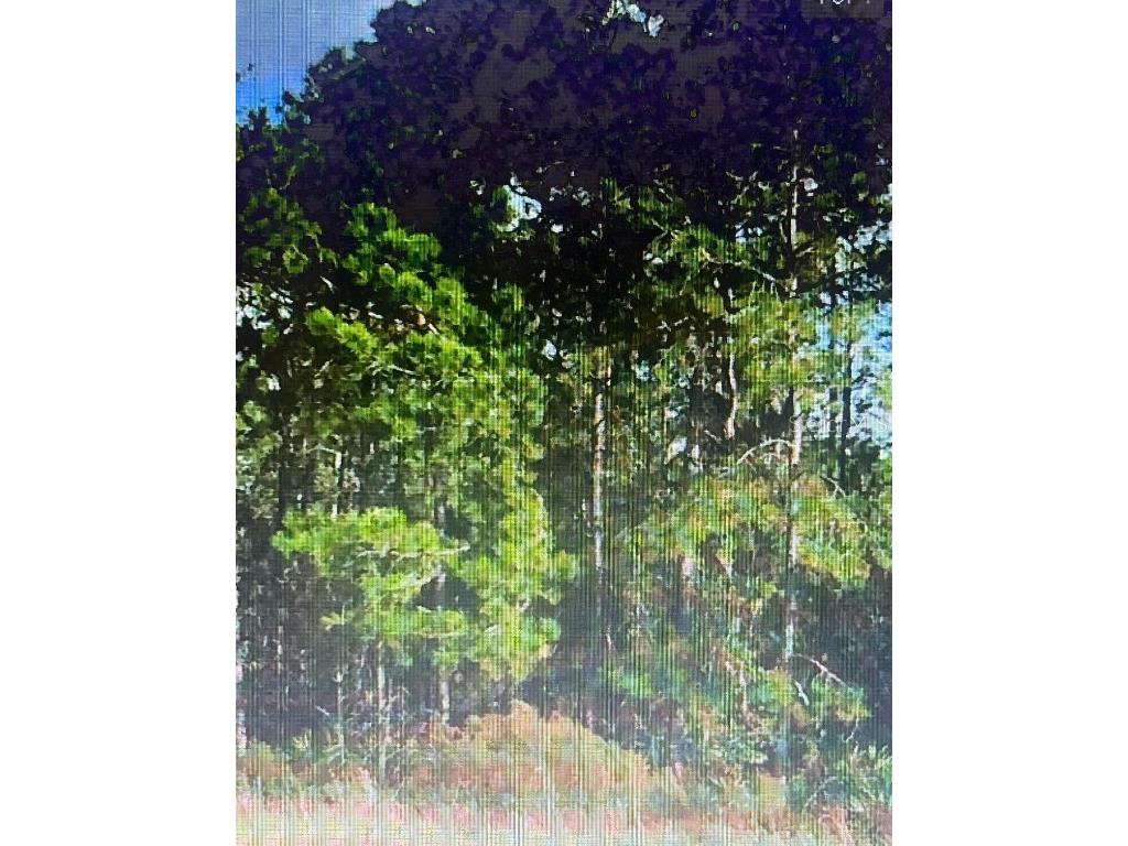 Sw 194 St ArcherFl 32618 - O4462-011-000 Archer FL 32618 TB8450672 image1