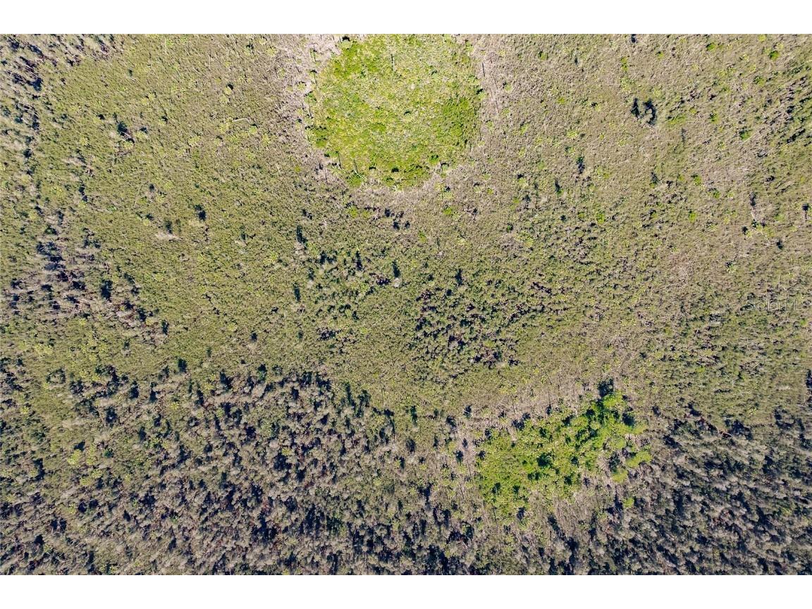 Unassigned Naples FL 34114 C7513996 image1