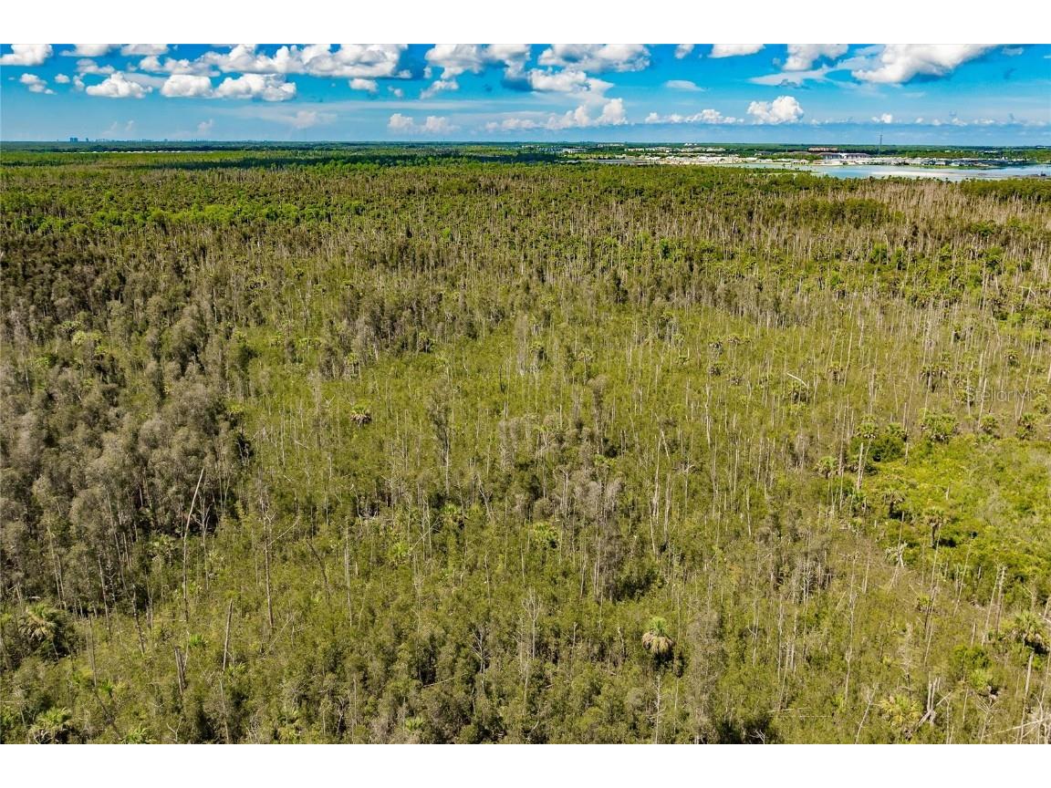 Unassigned Naples FL 34114 C7513996 image10