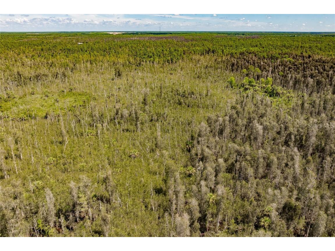 Unassigned Naples FL 34114 C7513996 image12