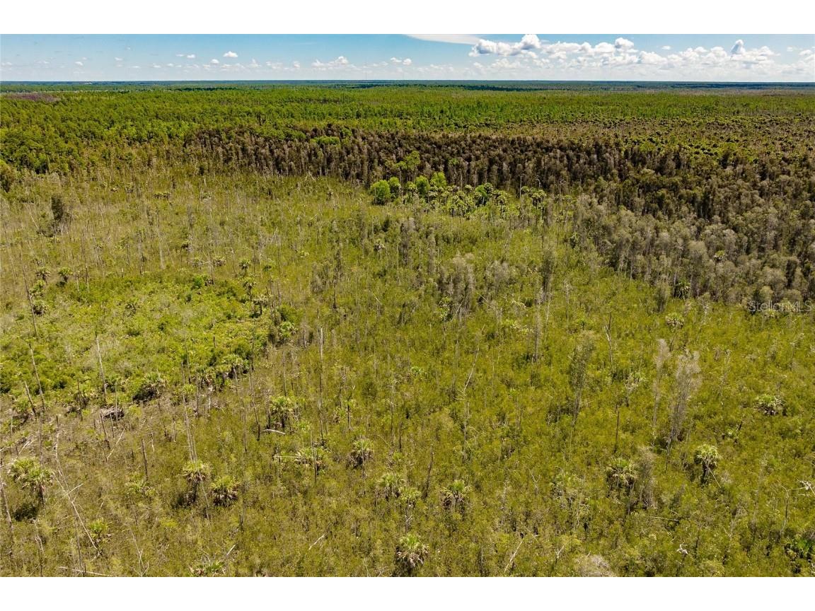 Unassigned Naples FL 34114 C7513997 image13