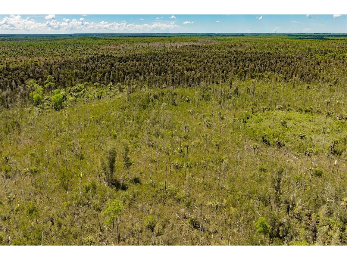 Unassigned Naples FL 34114 C7513997 image14